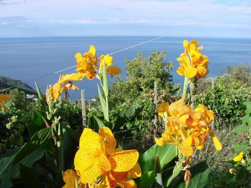 Case Vacanza Reggimonti Cinque Terre Bonassola Ngoại thất bức ảnh
