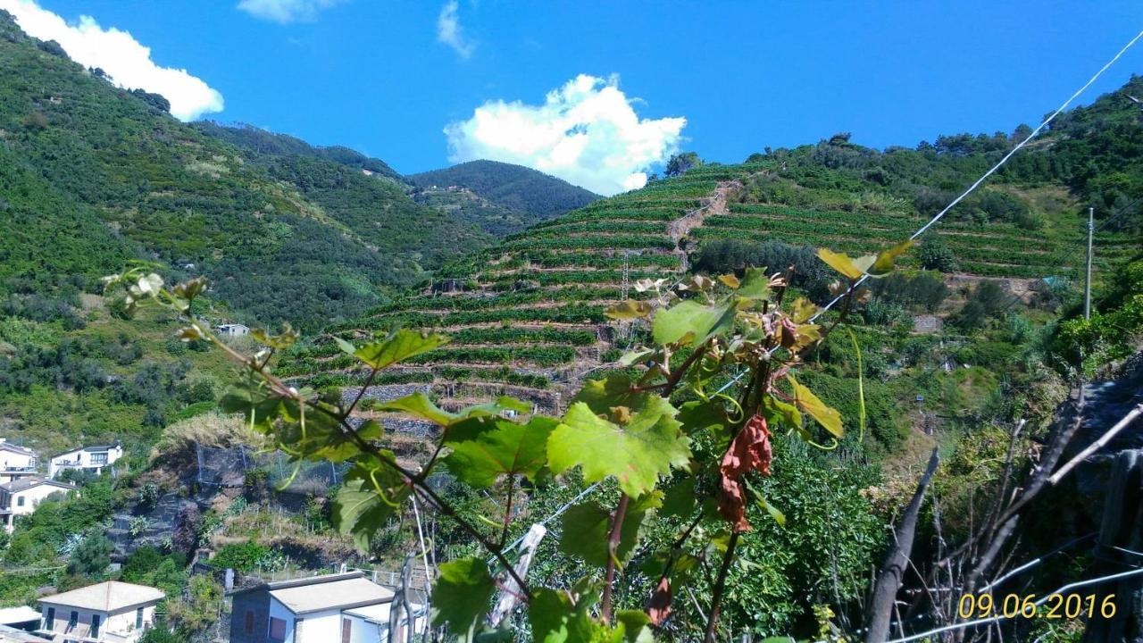 Case Vacanza Reggimonti Cinque Terre Bonassola Ngoại thất bức ảnh