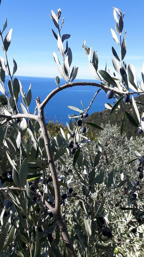 Case Vacanza Reggimonti Cinque Terre Bonassola Ngoại thất bức ảnh